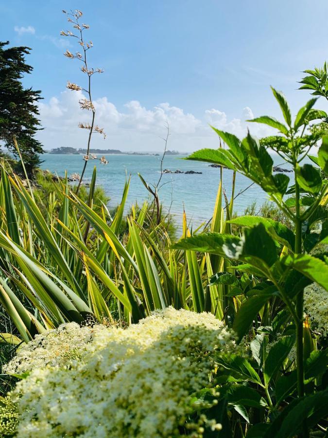 L'Escale 551, Gite Santec A 250M De La Plage エクステリア 写真