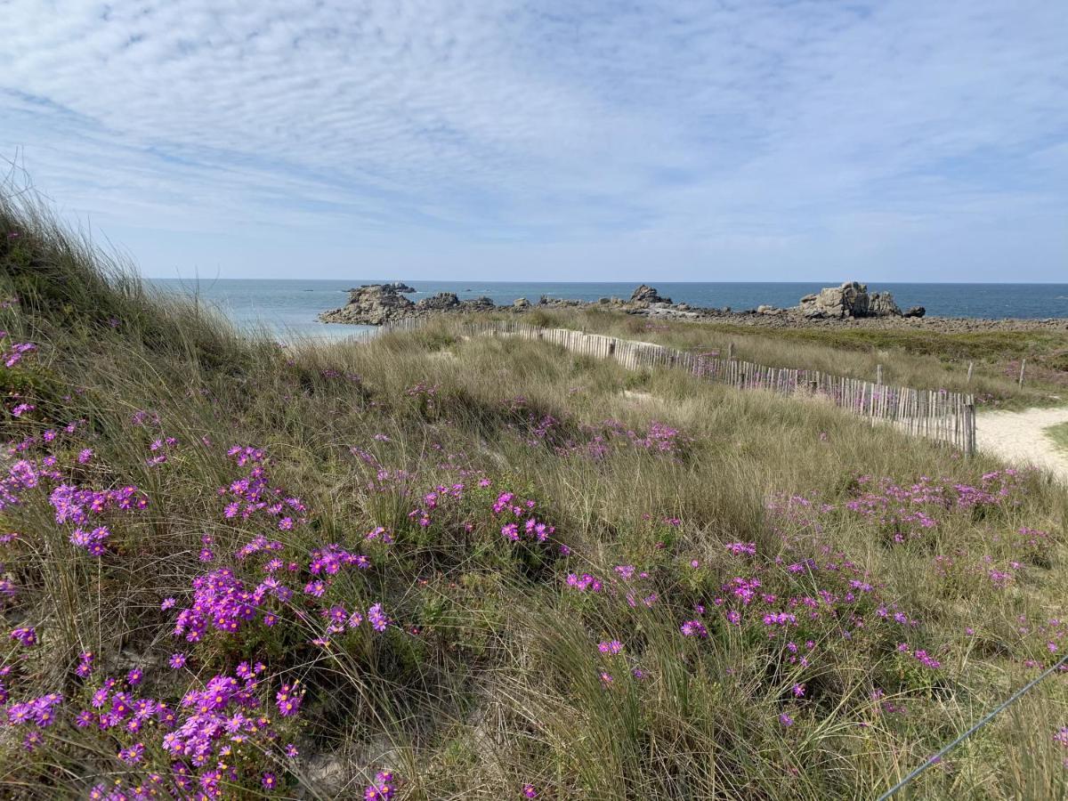 L'Escale 551, Gite Santec A 250M De La Plage エクステリア 写真