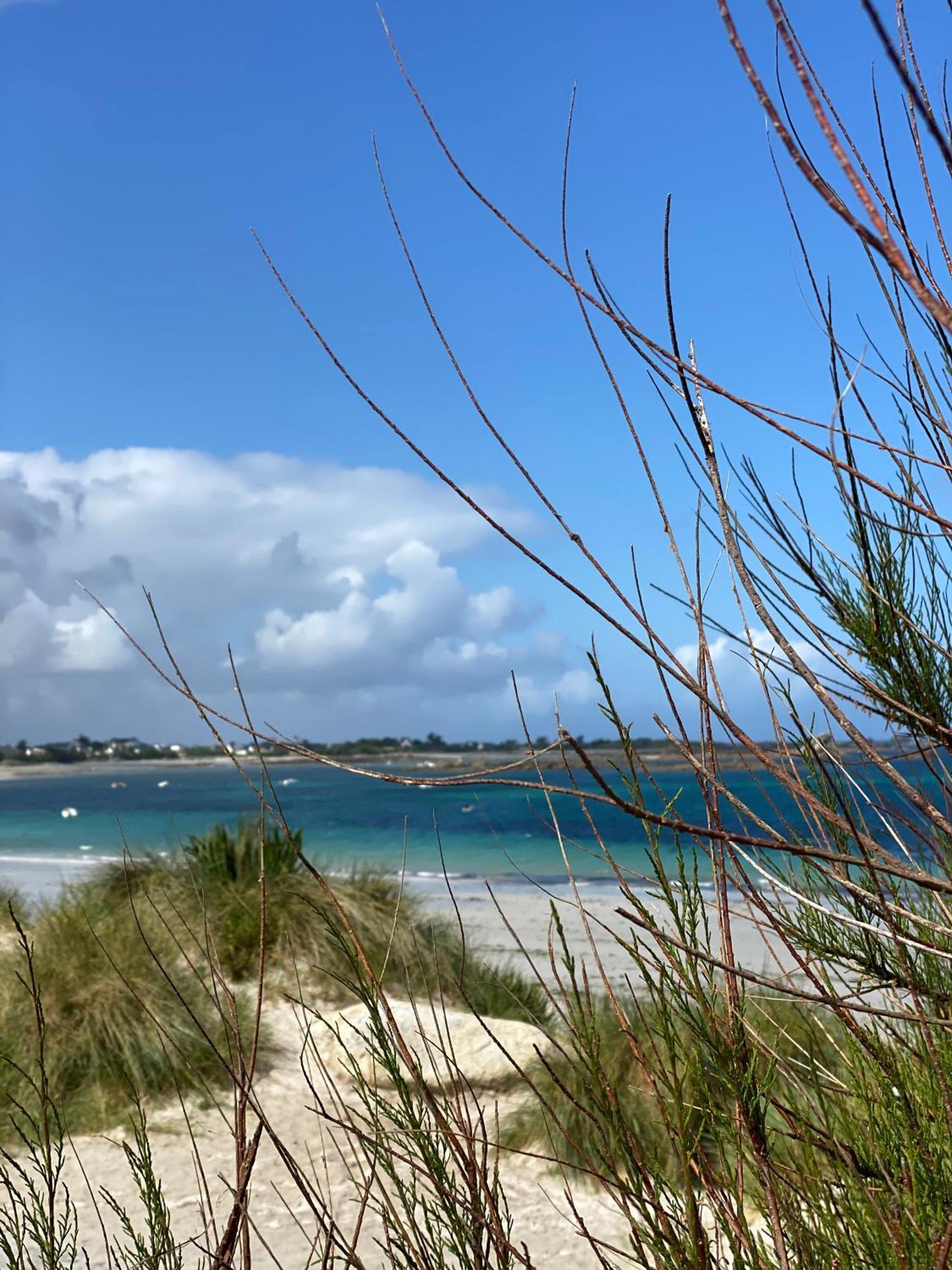 L'Escale 551, Gite Santec A 250M De La Plage エクステリア 写真